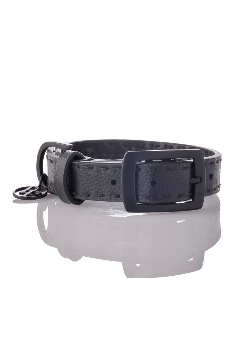 Rein Faux Leather Dog Collar, Main, color, BLACK BEAUTYDNU