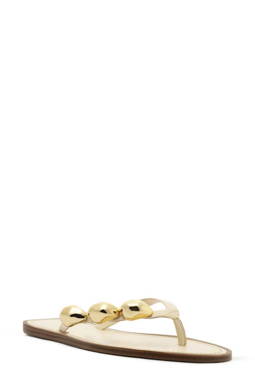 Arezzo Sunny Flip Flop In Panacota