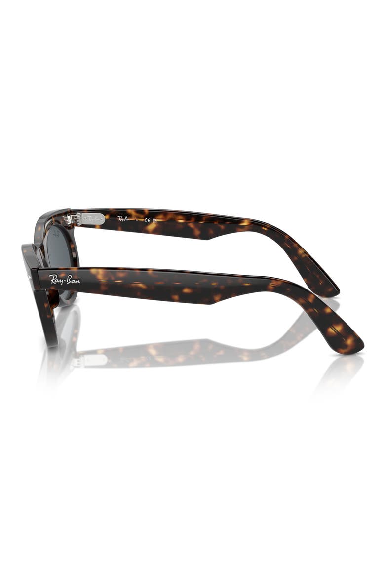 Wayfarer 53mm Oval Sunglasses, Alternate, color, HAVANA
