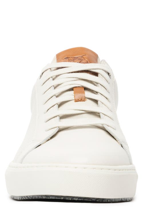 Rodd & Gunn Transit Sneaker In Chalk