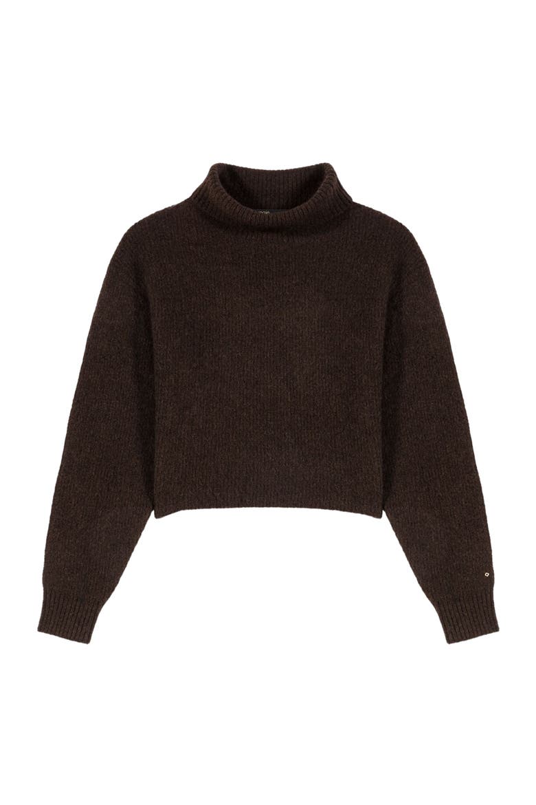 Yak blend roll-neck sweater, Alternate, color, Dark brown