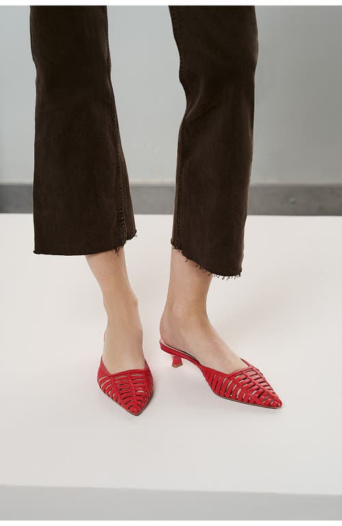 Franco Sarto Marline Pointed Toe Kitten Heel Pump In Red