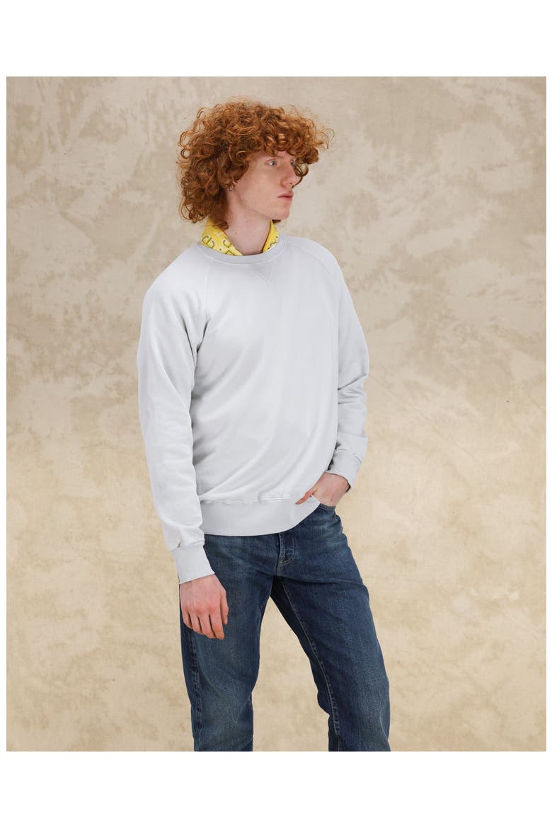 Harvard Crewneck Sweatshirt, Alternate, color, ICE