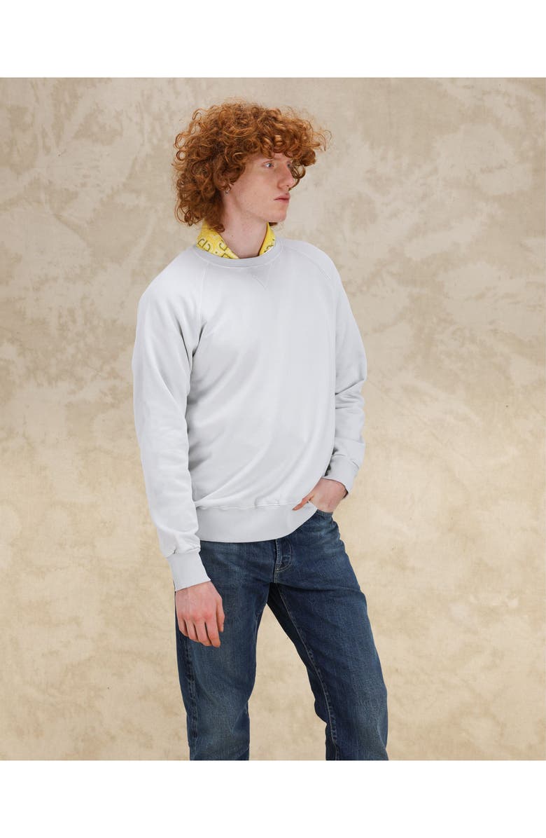 Fortela Harvard Brushed Jersey Raglan Sleeve Sweatshirt, Alternate, color, Ice