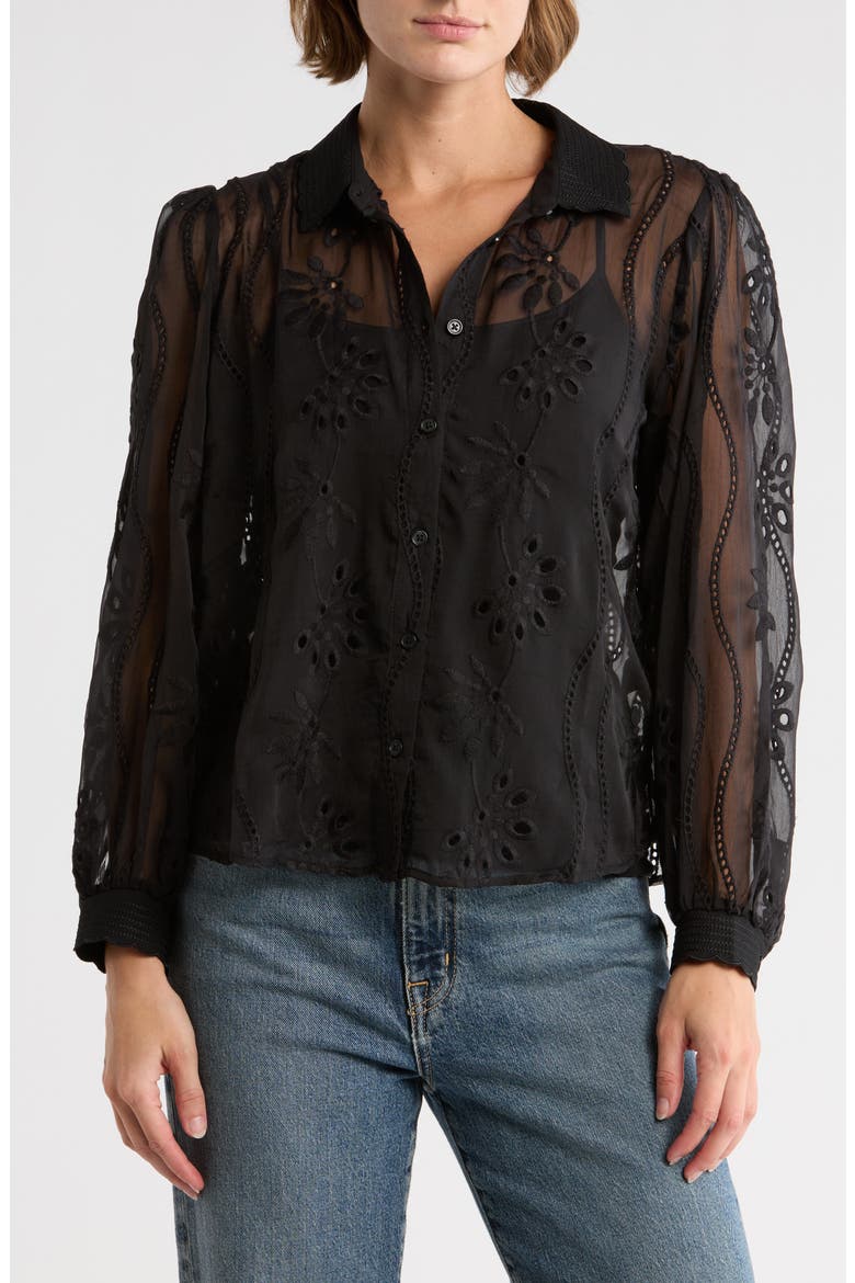 Long Sleeve Sheer Floral Eyelet Lace Button-Up Top, Main, color, BLACK