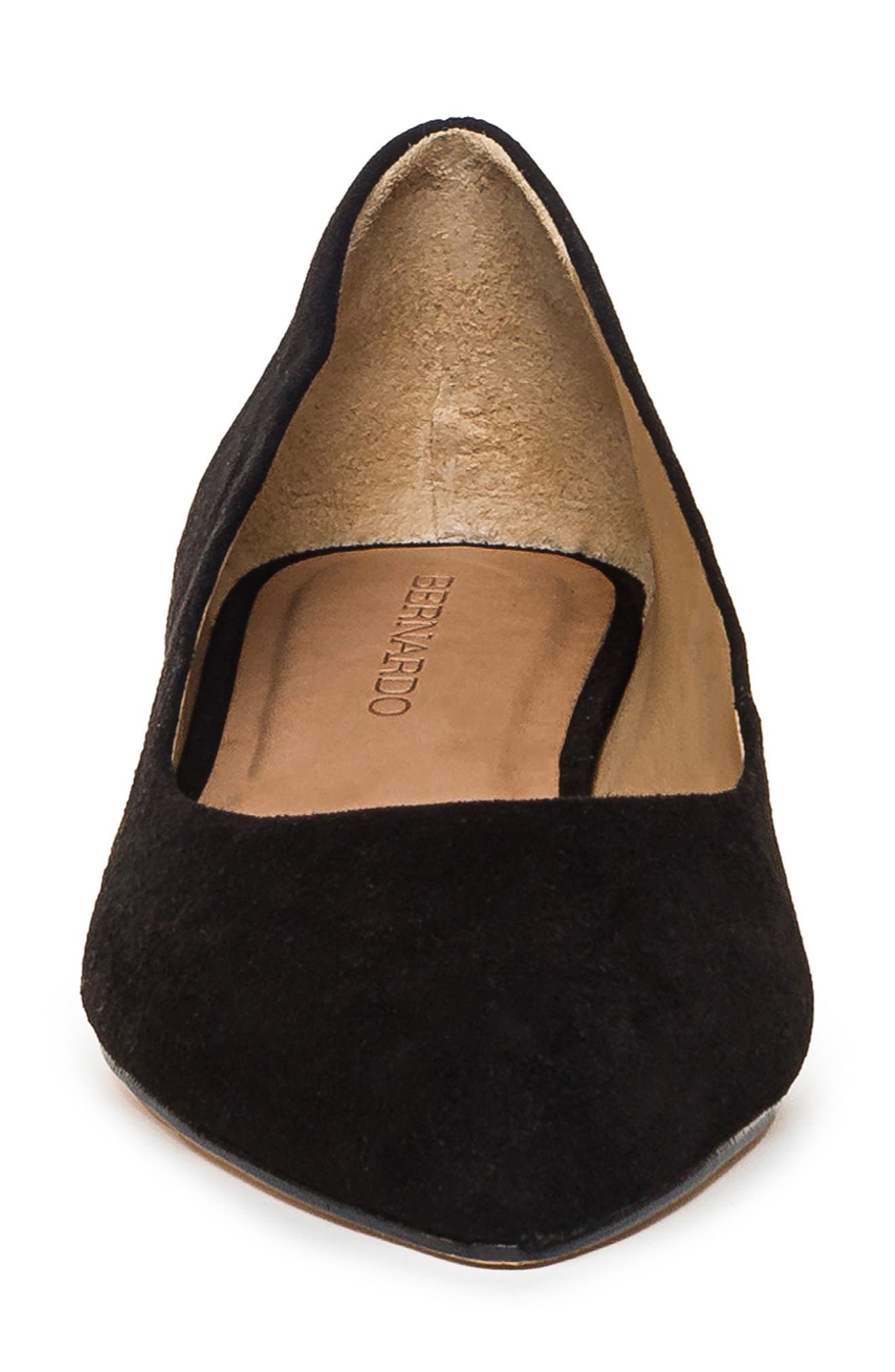 Bernardo Footwear Fritz Pointed Toe Flat, Alternate, color, 