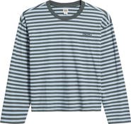 BDG Urban Outfitters Stripe Long Sleeve Boxy Cotton Top