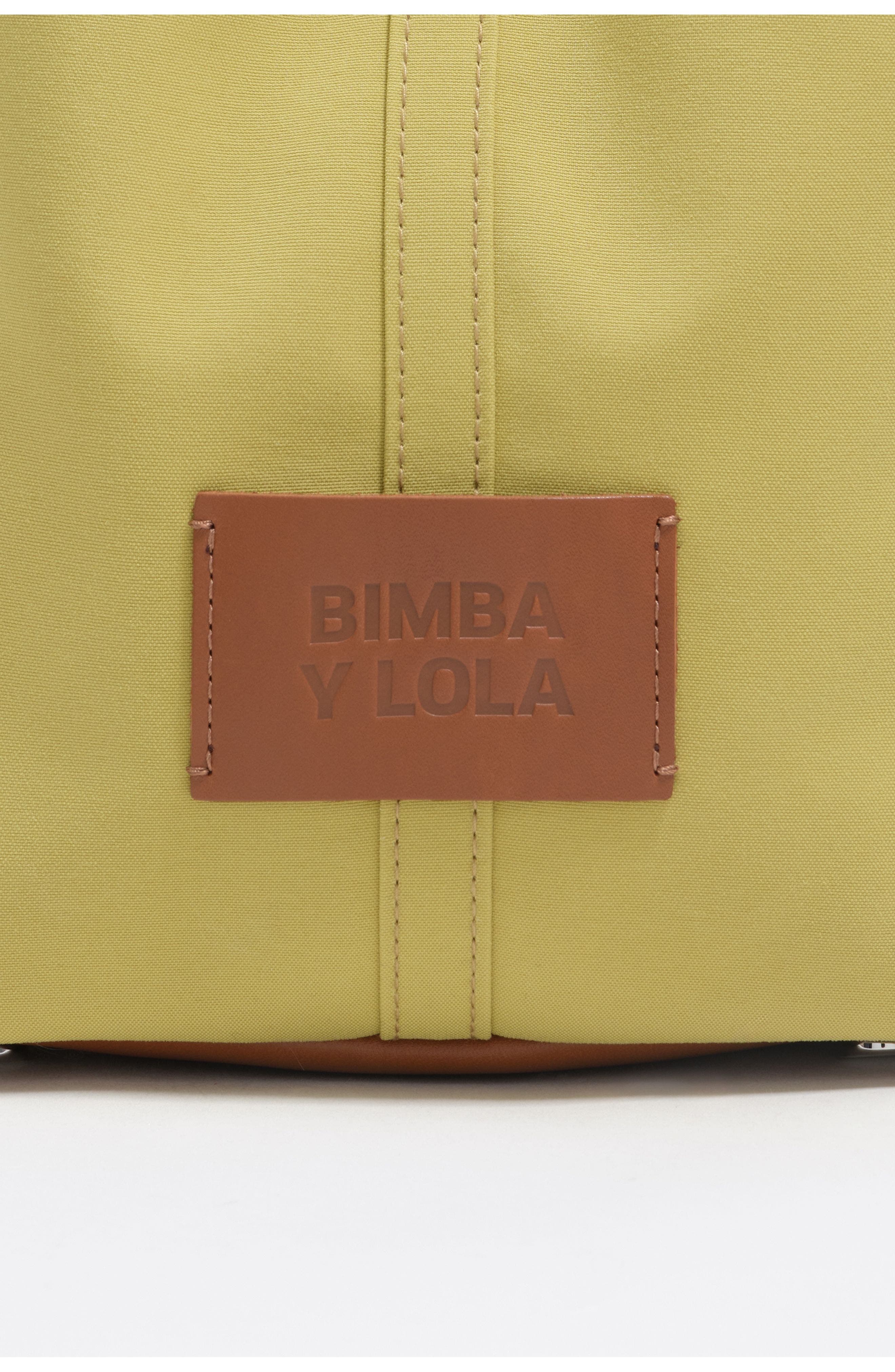 Large Nylon Chihuahua Bag, Alternate, color, PISTACHIO