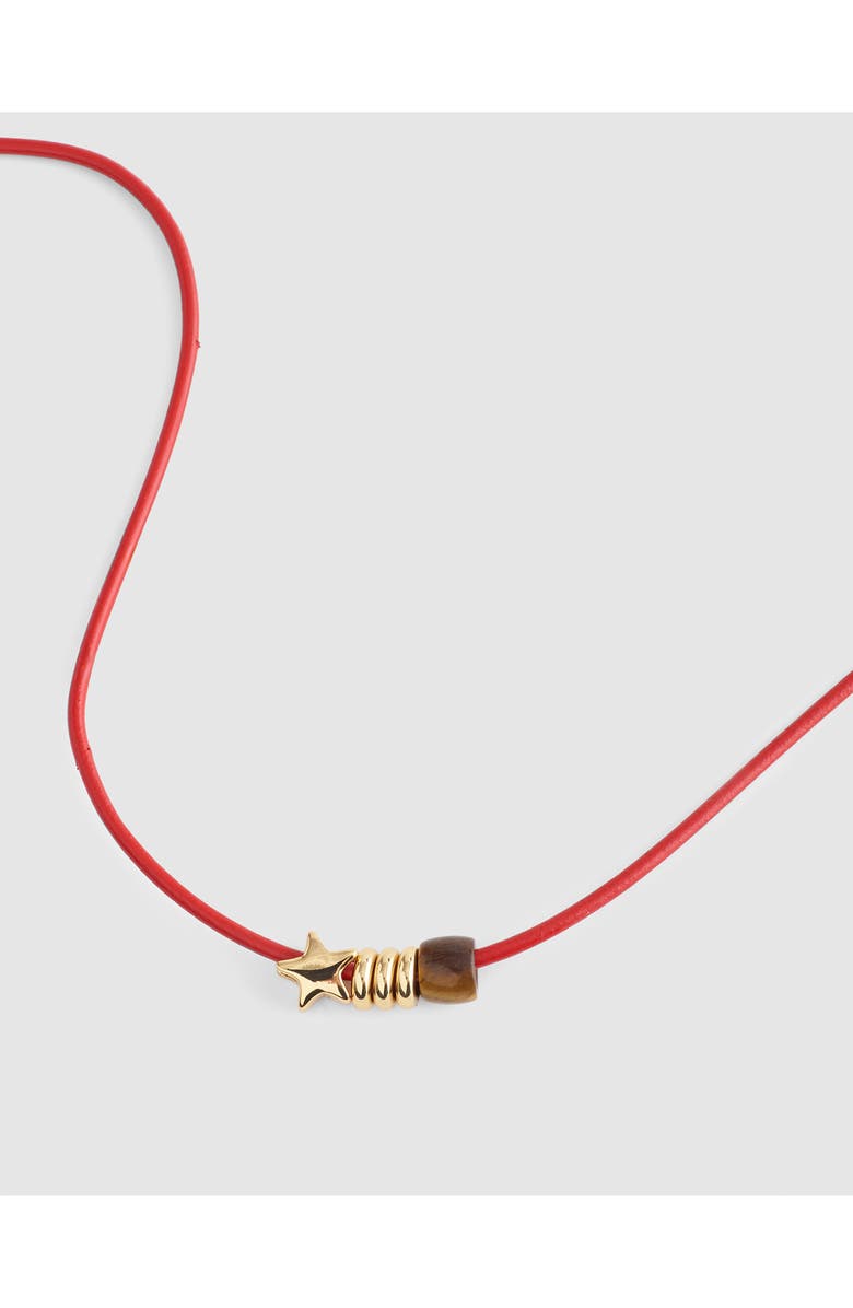 Madewell Semiprecious Charm Leather Choker Necklace, Alternate, color, Cherry