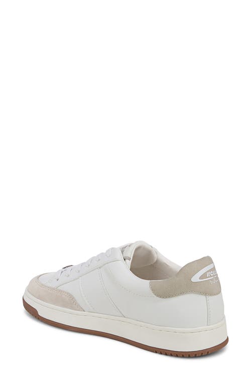 Circus Ny By Sam Edelman Vance Sneaker