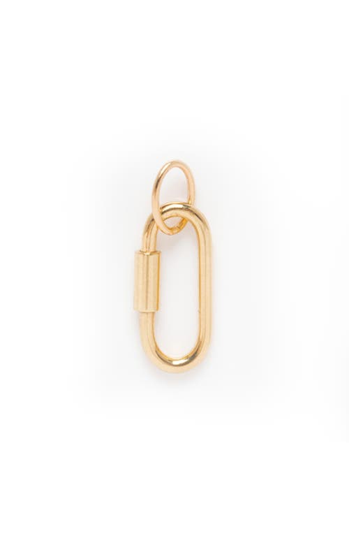 Local Eclectic Solid Gold Carabiner Charm Clip In Gold