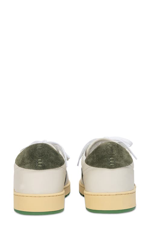 Collegium Pillar Destroyer Low Top Sneaker In Multi