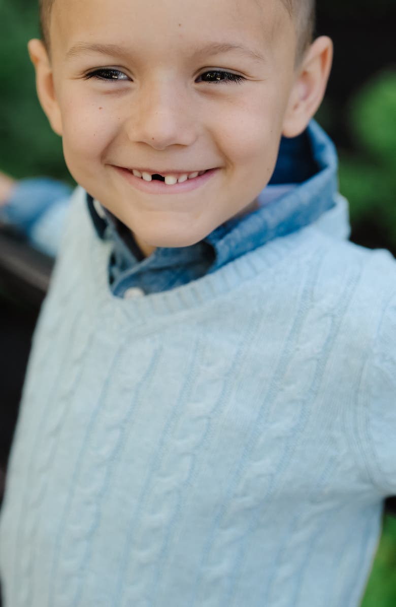 Hope & Henry Organic Long Sleeve Fine Gauge Cable V-Neck Sweater, Alternate, color, Dusty Blue Heather Cable