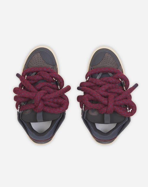 Lanvin Curb Sneakers In Leather With Snake Laces In Shark Grey
