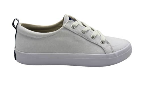 Tecs Canvas Sneaker In White