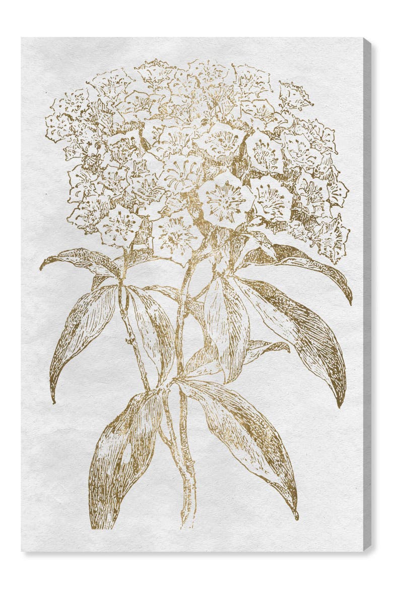Floral Sketch Gold Canvas Wall Art, Main, color, METALLIC GOLD