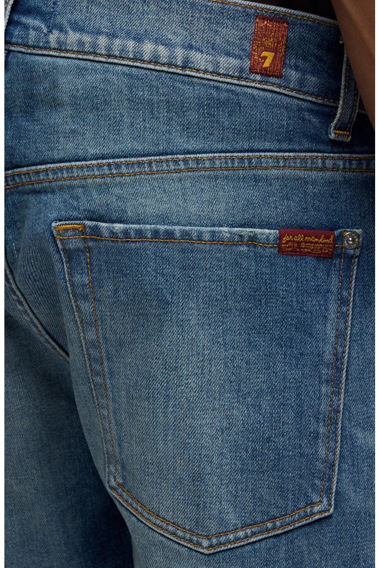 The Straight Leg Jeans, Alternate, color, RANGE
