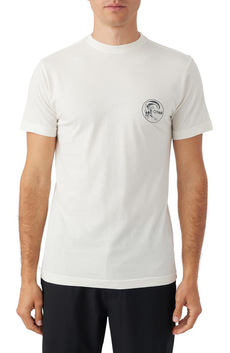 O'Neill Seagull Graphic T-Shirt, Main, color, 
