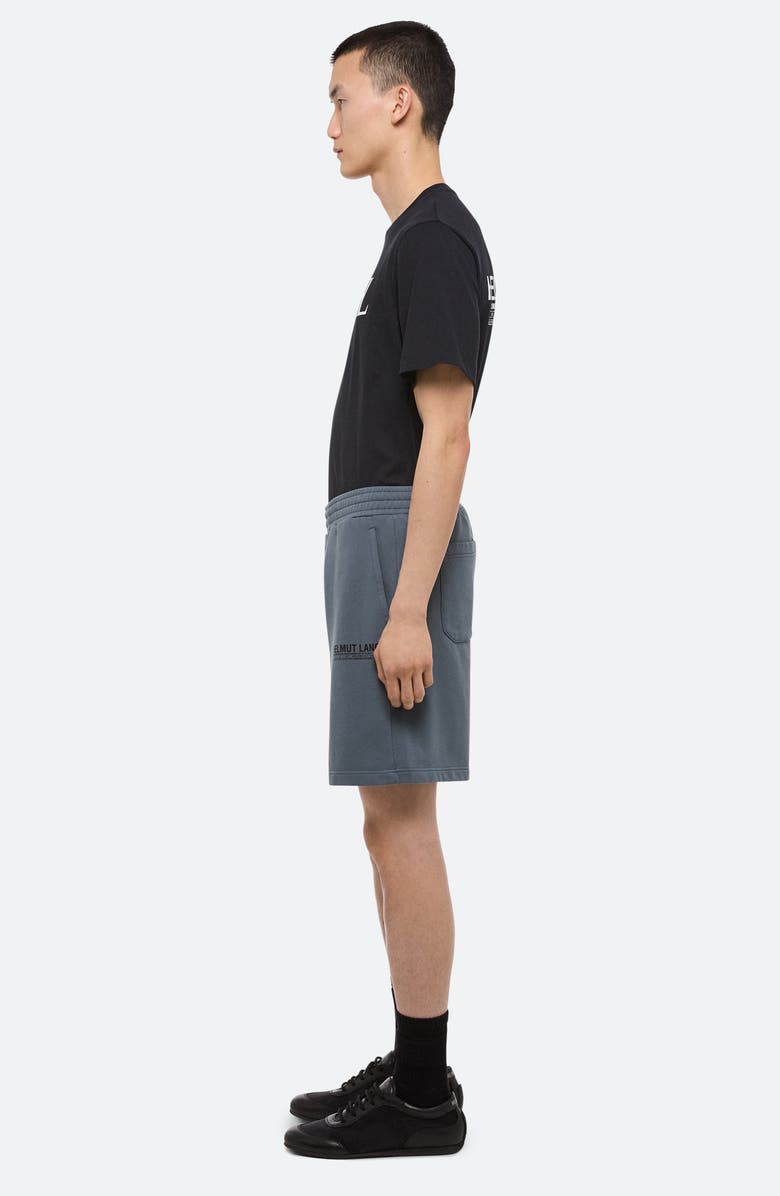 Helmut Lang Capsule Shorts, Alternate, color, Slate Blue