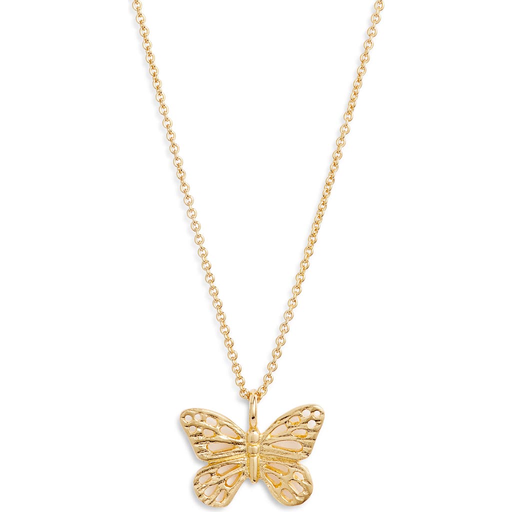 Ki-ele Taylor Butterfly Pendant Necklace In Gold