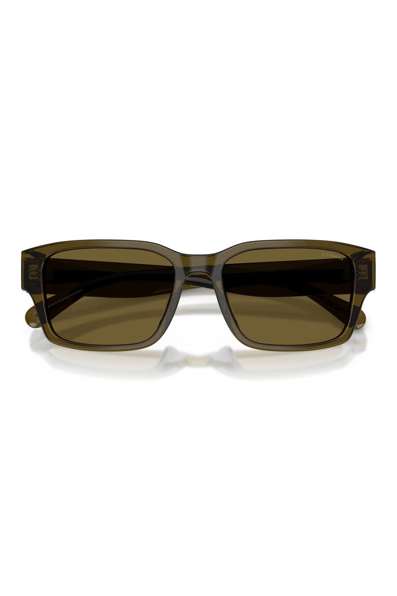 55mm Rectangular Sunglasses, Alternate, color, TRANSPARENT OLIVE / GREEN