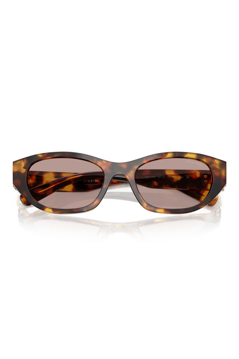 53mm Oval Sunglasses, Alternate, color, HONEY HAVANA / PURPLE BROWN