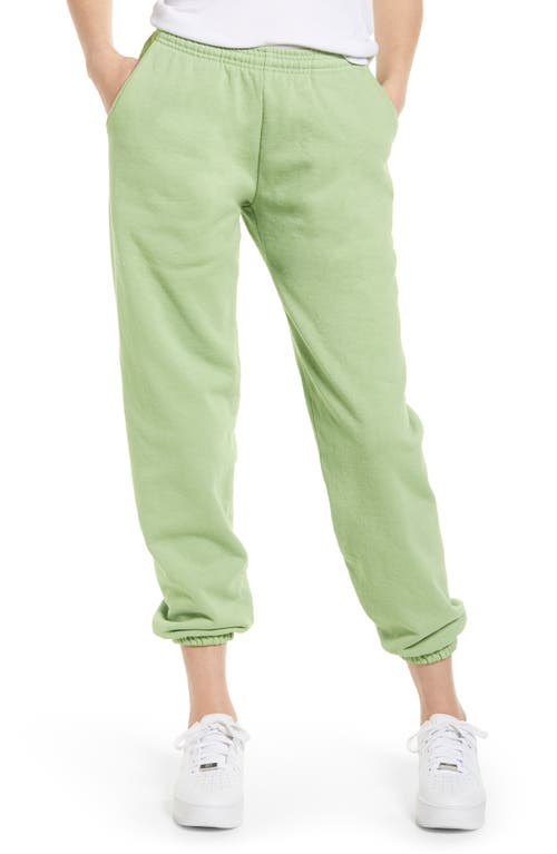 Melody Ehsani Gender Inclusive Heavy Fleece Sweatpants In Zen Garden