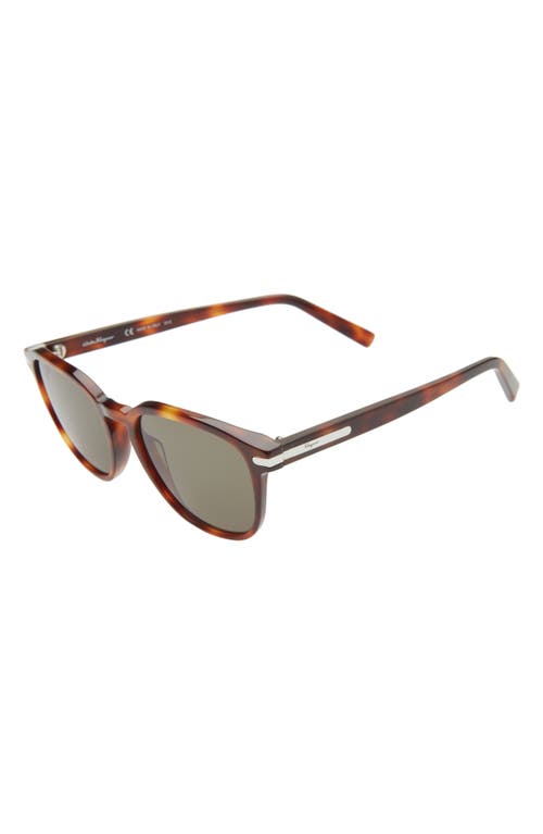 Ferragamo Timeless 53mm Rectangular Sunglasses In Brown