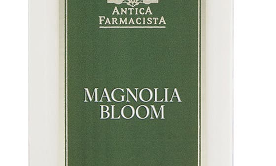 MAGNOLIA BLOOM