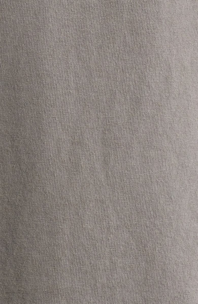 Afield Out Axis Graphic T-Shirt, Alternate, color, Ash