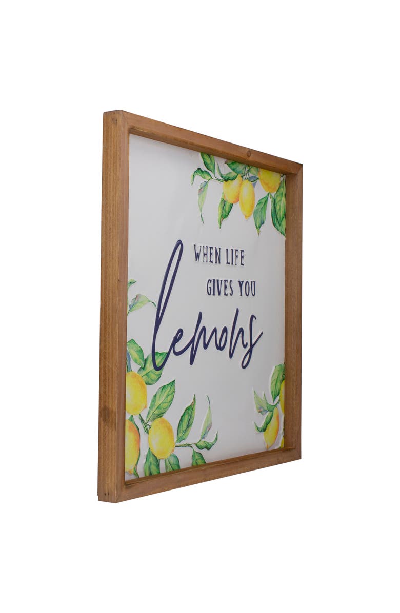 Northlight 16" Wooden Framed "When Life Gives you Lemons" Metal Sign Spring Wall Decor, Alternate, color, White