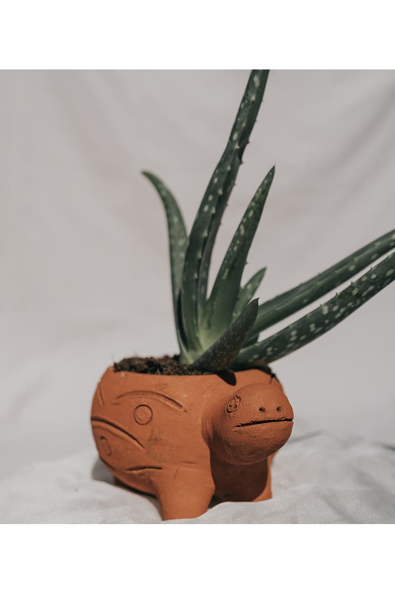 Rakshana Plant Pot, Alternate, color, Turtle