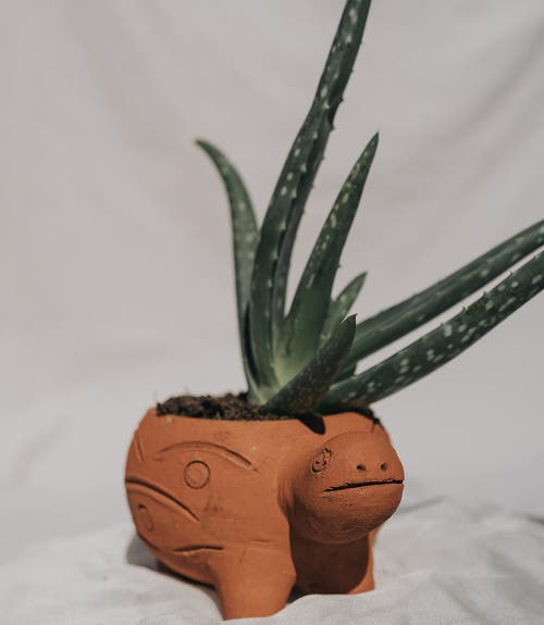 Matr Boomie Rakshana Plant Pot In Multi
