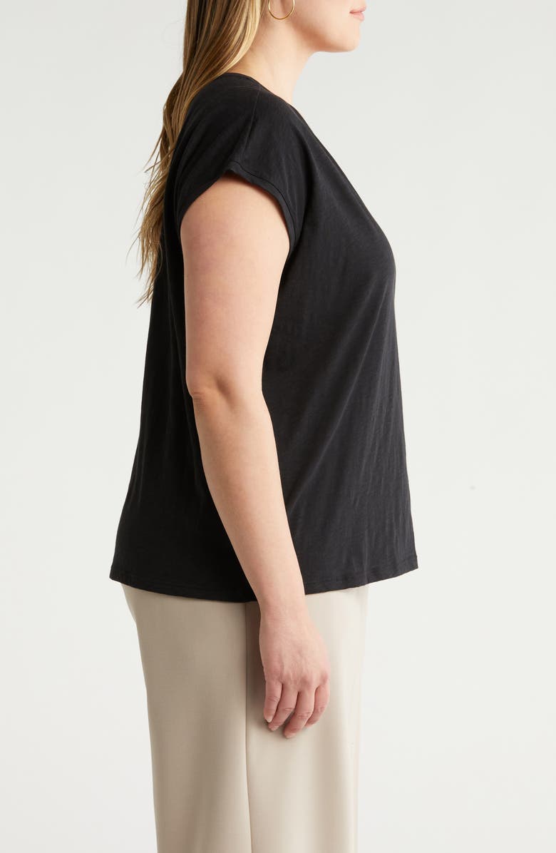 Nordstrom V-Neck Pima Cotton Slub T-Shirt, Alternate, color, 