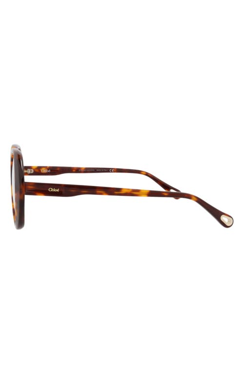 Chloé 51mm Square Optical Glasses In Brown