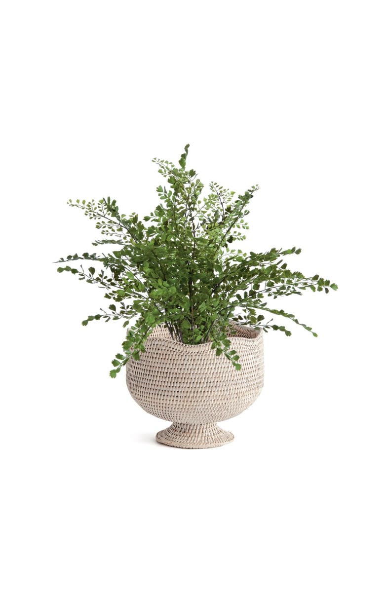Napa Home & Garden 9.25" x 10.75" Woven Burma Rattan Scalloped Edge Decorative Footed Cachepot Planter, Alternate, color, White