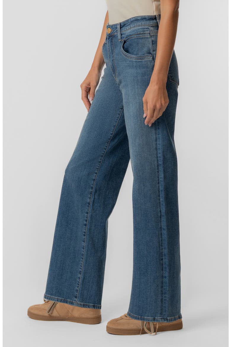 Jodi High Waist Straight Leg Jeans, Alternate, color, AMUSEMENT