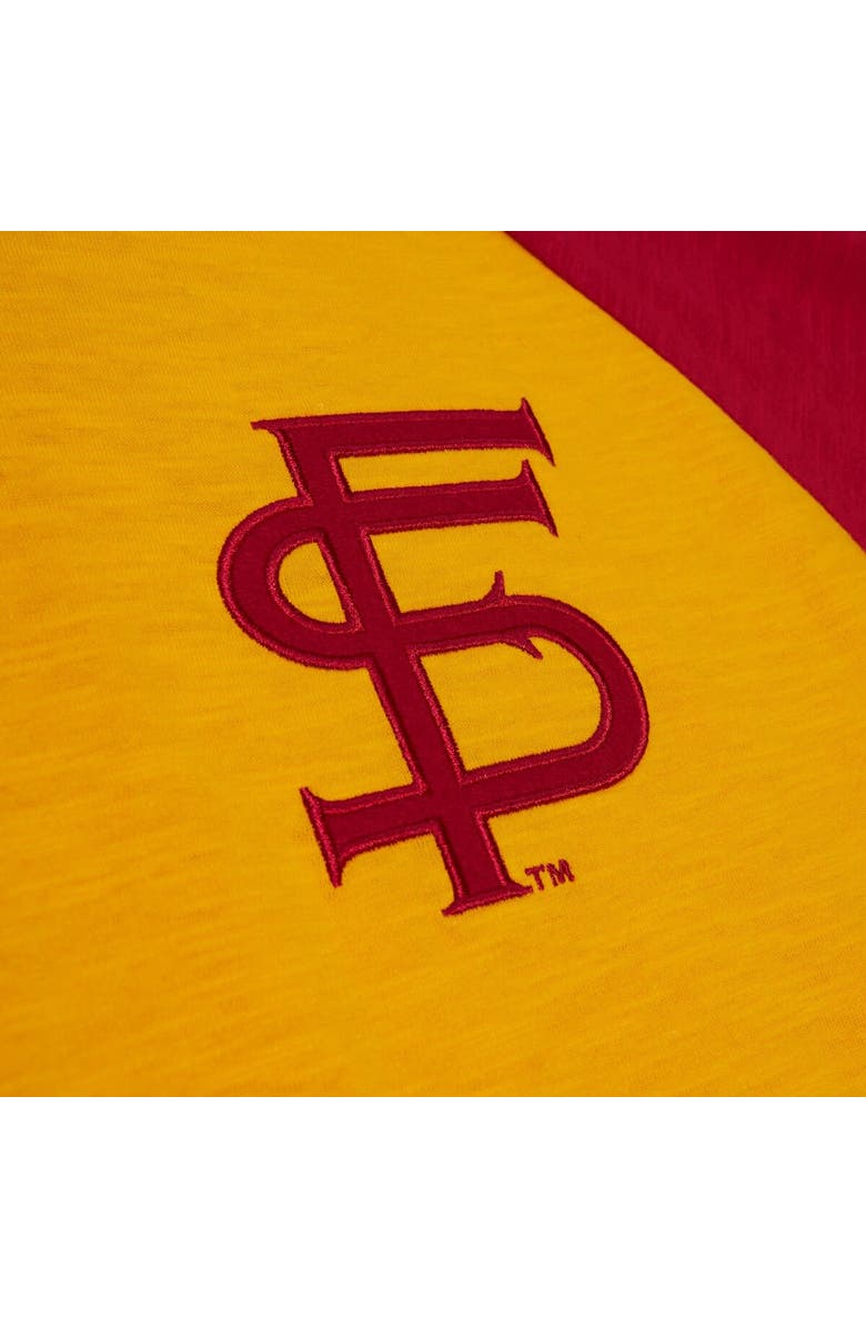 Mitchell & Ness Men's Mitchell & Ness Gold Florida State Seminoles Legendary Slub Raglan Long Sleeve T-Shirt, Alternate, color, 