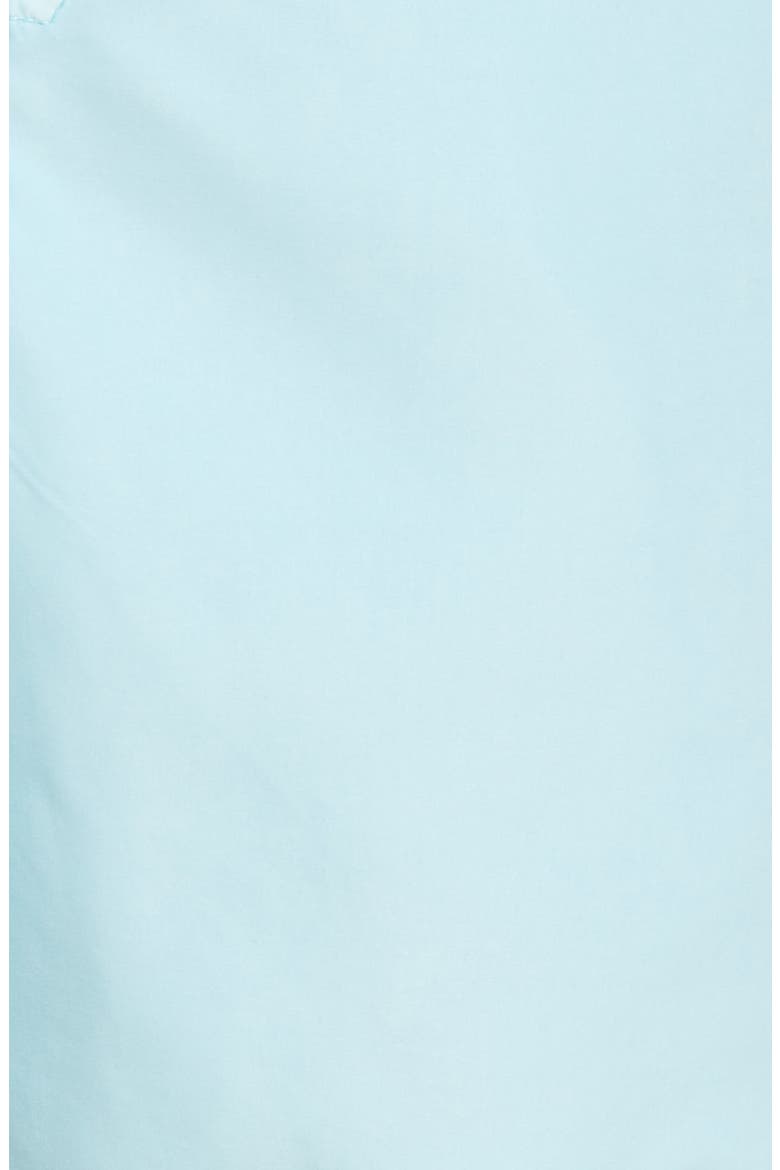 Center Swim Trunks, Alternate, color, ANTIGUA
