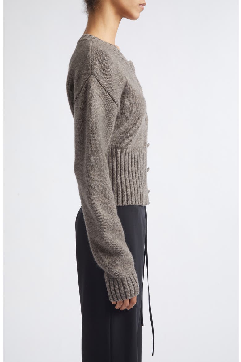 Wool Crewneck Cardigan, Alternate, color, TAUPE MELANGE