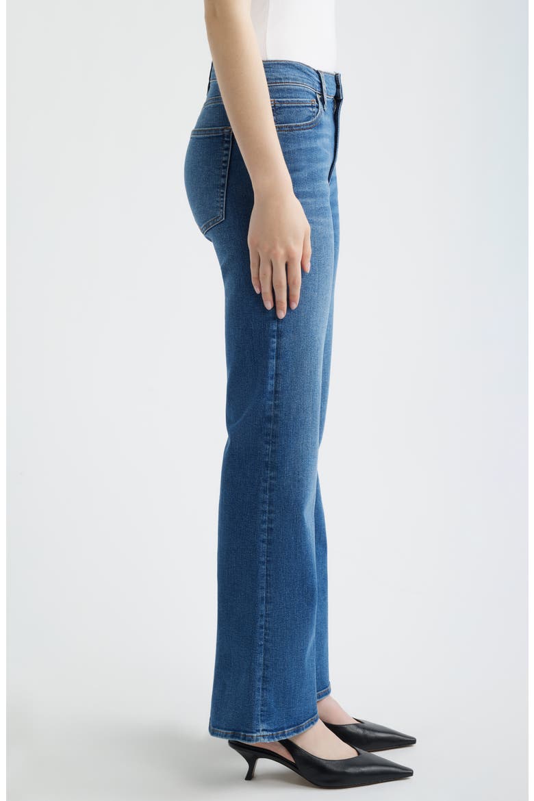 The Icon Flare Jeans, Alternate, color, PROVENCE