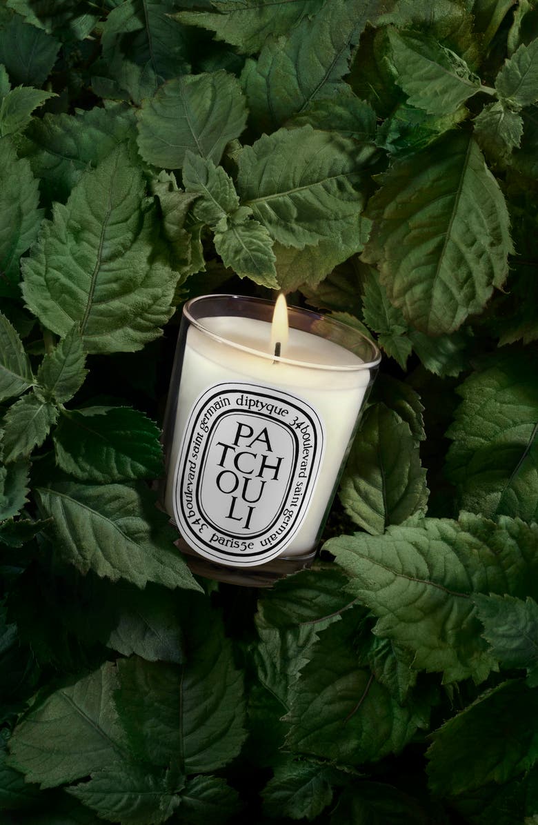 Diptyque Patchouli Scented Candle, Alternate, color, 