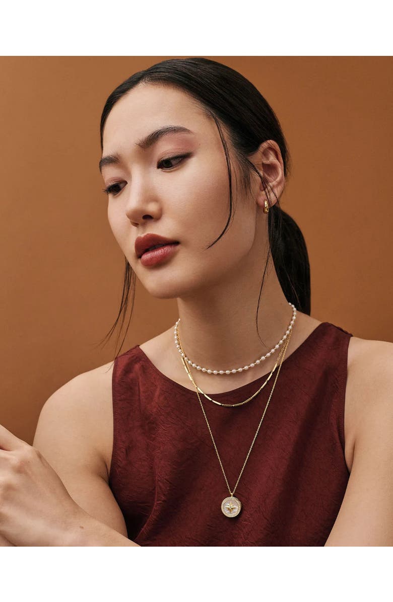 Astley Clarke Gold Large Polaris Mother of Pearl Locket Necklace, Alternate, color, Polaris