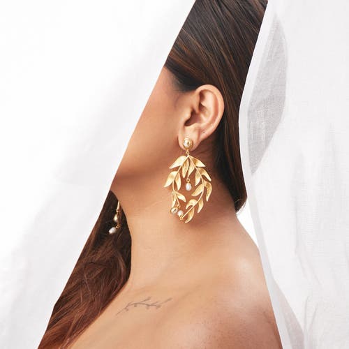 Dhwani Bansal Sooki Chandelier Earrings In Gold Plated