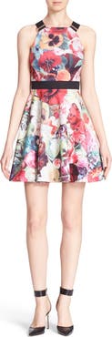 Ted Baker London 'Samra - Floral Swirl' Sleeveless Skater Dress