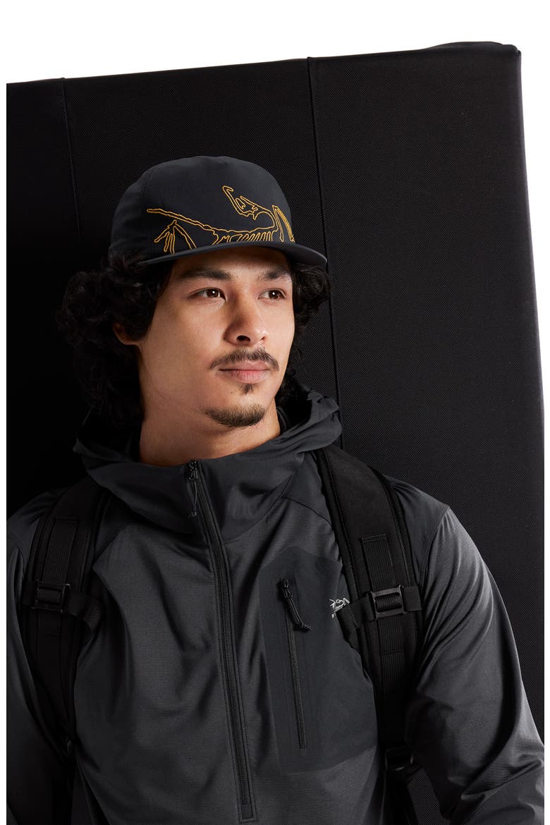 Silex Embroidered Snapback Baseball Cap, Alternate, color, 24K BLACK