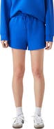 Grey Lab Tie Waist Scuba Knit Shorts
