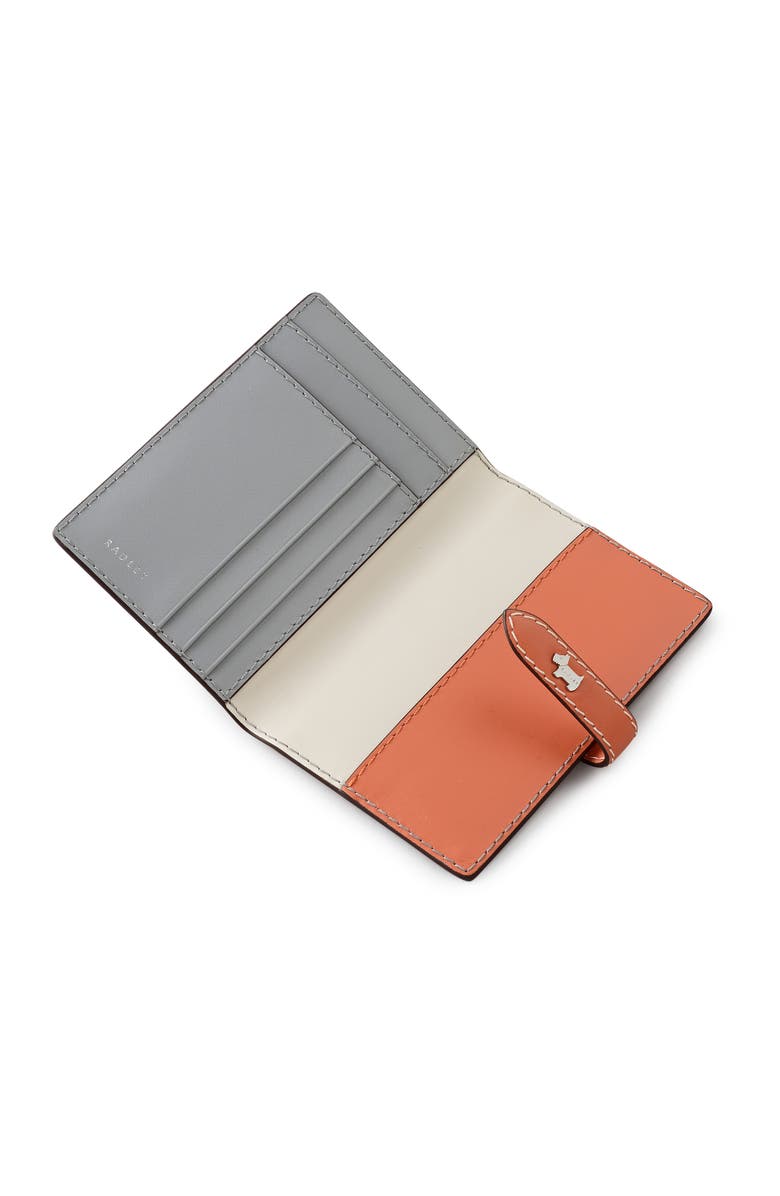 Radley Willis Street - Colourblock    Passport Cover, Alternate, color, Steel