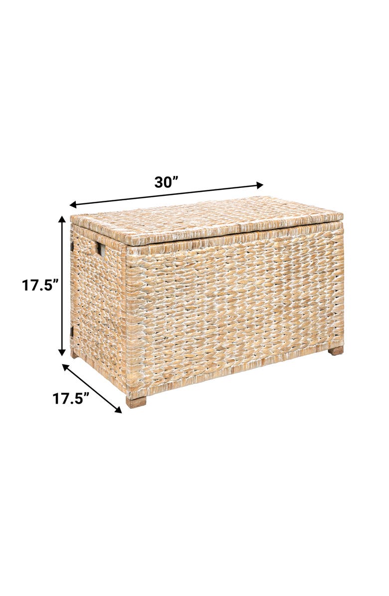 HAPPIMESS Anada Handwoven Wicker Weave Storage Trunk, Alternate, color, White Wash