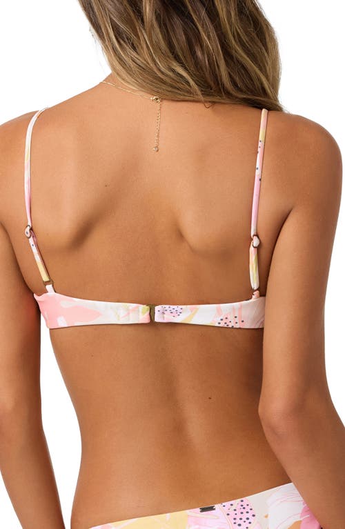 O'neill Newport Pismo Bikini Top In Pink Multi
